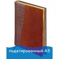 Ежедневник недатированный А5 Brauberg Cayman 160 листов 125084 (1)